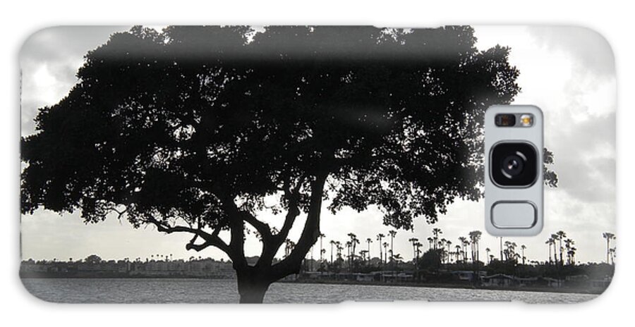 Mission Bay Galaxy Case featuring the photograph Silhouette of Tree by Bridgette Gomes