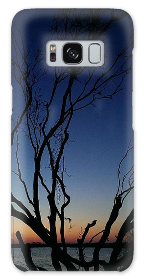 Back Galaxy Case featuring the photograph Silhouetted Twilight by Liza Eckardt