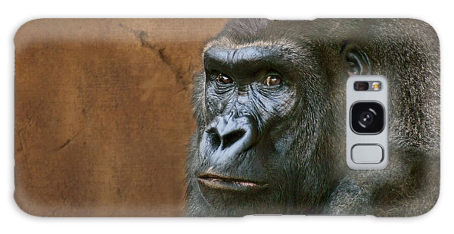 Animals Galaxy Case featuring the photograph Silverback Stare - Gorilla by Nikolyn McDonald