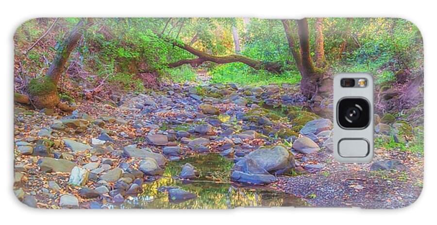 Landscape Galaxy Case featuring the photograph Sinbad Creek at Pleasanton Ridge by Marc Crumpler