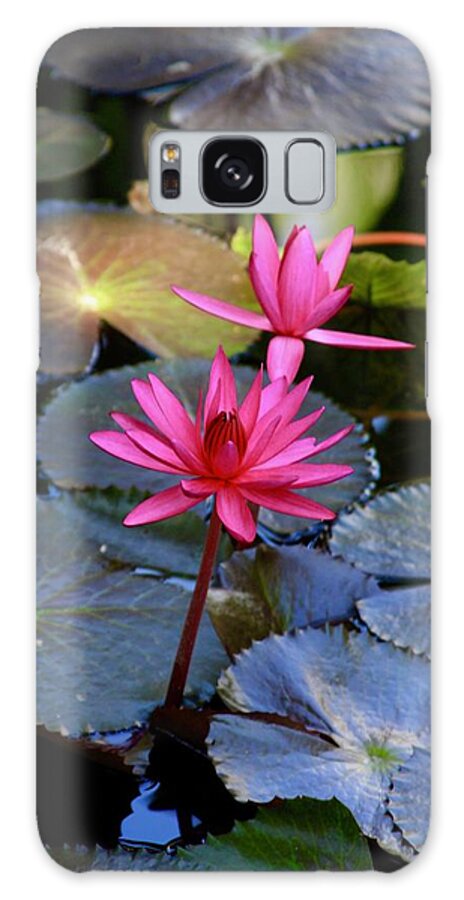 Mckee Botanical Garden Galaxy Case featuring the photograph Singing Pink Lotus Blooms at McKee Garden by M E
