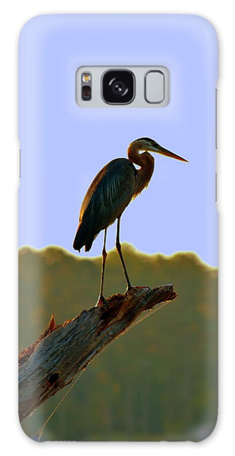 Sitting High On A Log Galaxy Case featuring the photograph Sitting High On The Log by Lisa Wooten