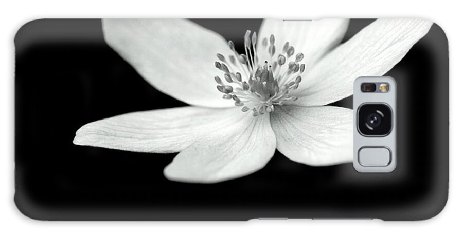 Monochrome Flower Petals Stamens On-black On-dark Galaxy S8 Case featuring the photograph Six petals in monochrome by Ian Sanders