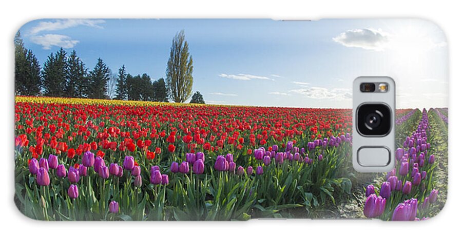 Flowers Galaxy Case featuring the photograph Skagit Valley Tulip Festival by Matt McDonald