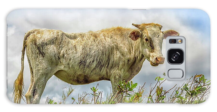 Skinny Galaxy Case featuring the photograph Skinny cow by Patricia Hofmeester