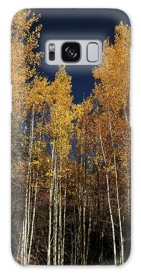 Landscape Galaxy Case featuring the photograph Skyward Aspens by Ron Cline