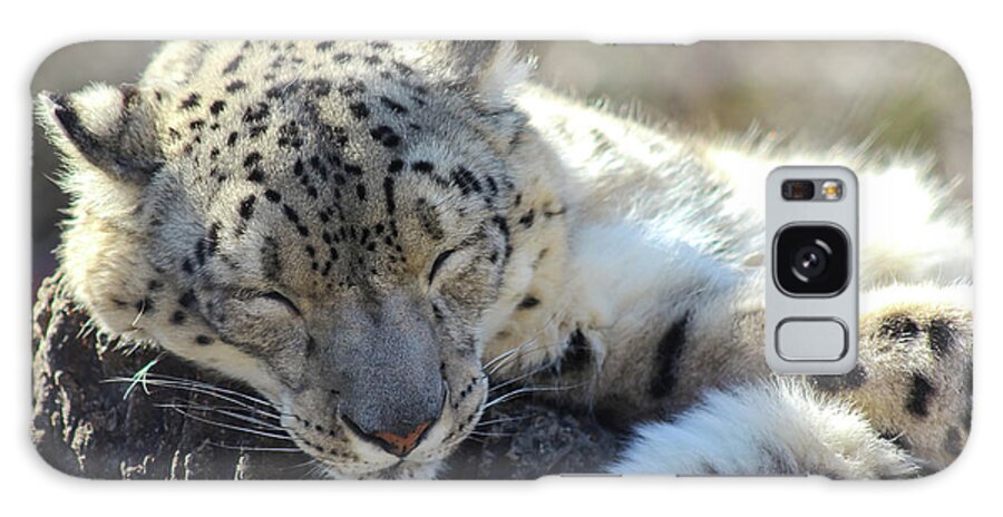 Snow Leopard Galaxy Case featuring the photograph Sleeping Snow Leopard by Holly Ross