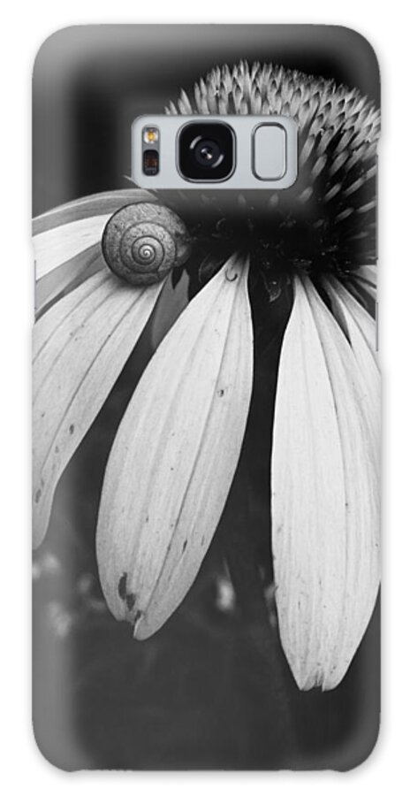 Snail Galaxy Case featuring the photograph Snail by Sharon Jones