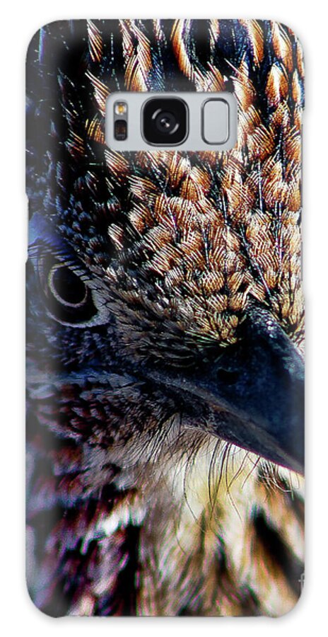 Bird Galaxy S8 Case featuring the photograph Snake Killer by Adam Morsa