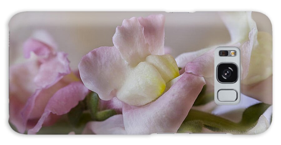 Pink Galaxy Case featuring the photograph Snapdragons in Pink by Cheryl Day