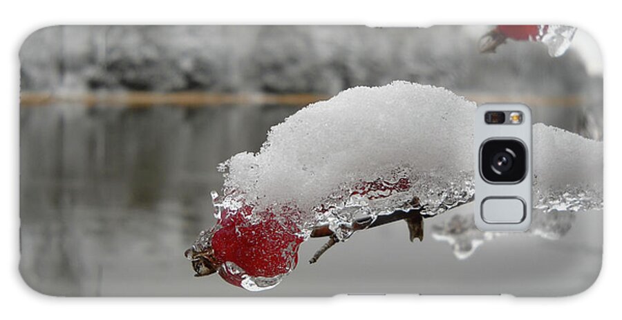 Snow Galaxy Case featuring the photograph Snow and Ice on Wild Rose Hip by Kent Lorentzen