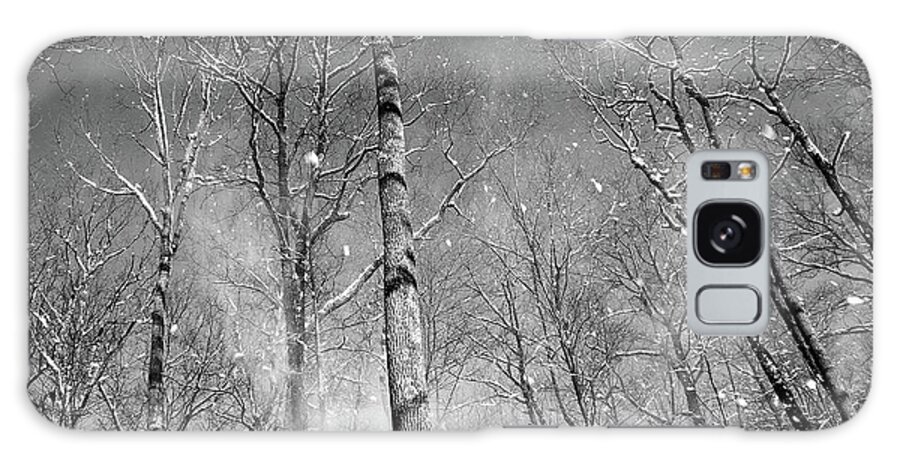B&w Galaxy Case featuring the photograph Snow Fall by Dawn J Benko