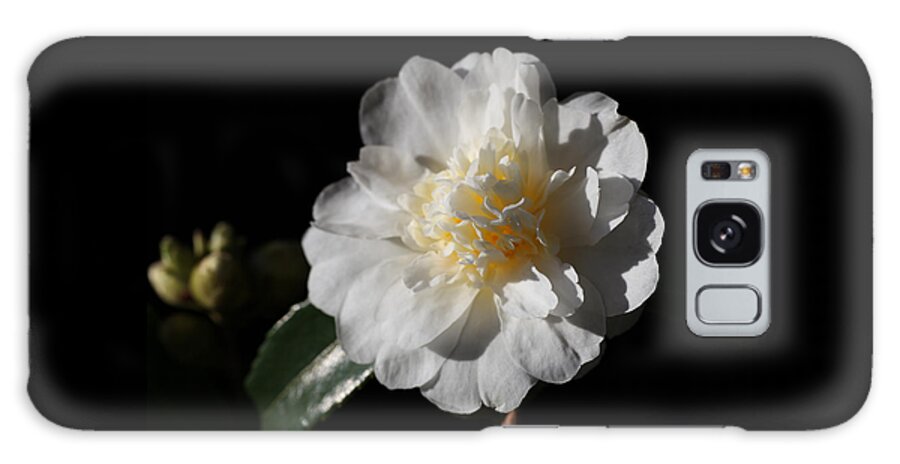 Camellia Galaxy Case featuring the photograph Snow Flurry by Tammy Pool