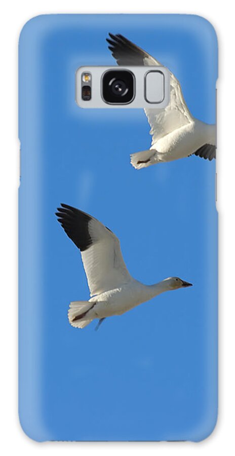 Geese Galaxy Case featuring the photograph Snow Geese Moon by Gary Beeler