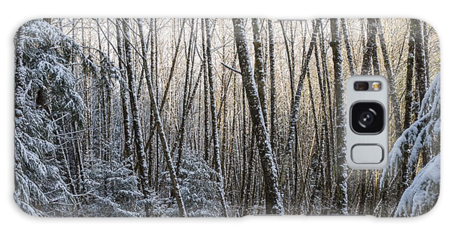 Snow Galaxy Case featuring the photograph Snow on the Alders by Robert Potts