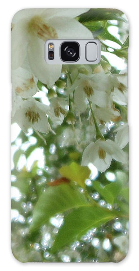 Snowbell Tree Galaxy Case featuring the photograph Snowbell Sparkles In Spring by Kristin Aquariann