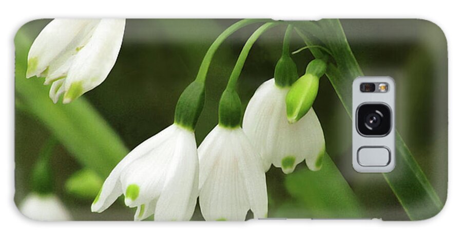 Snowdrops Galaxy Case featuring the photograph Snowdrops #5 by Kim Tran