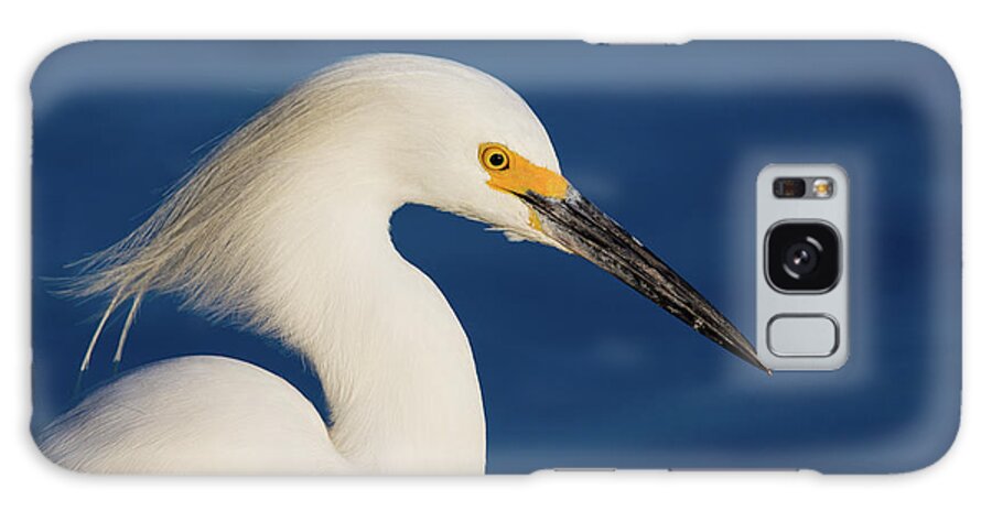 Snowy Egret Galaxy Case featuring the photograph Snowy Egret by Brian Knott Photography