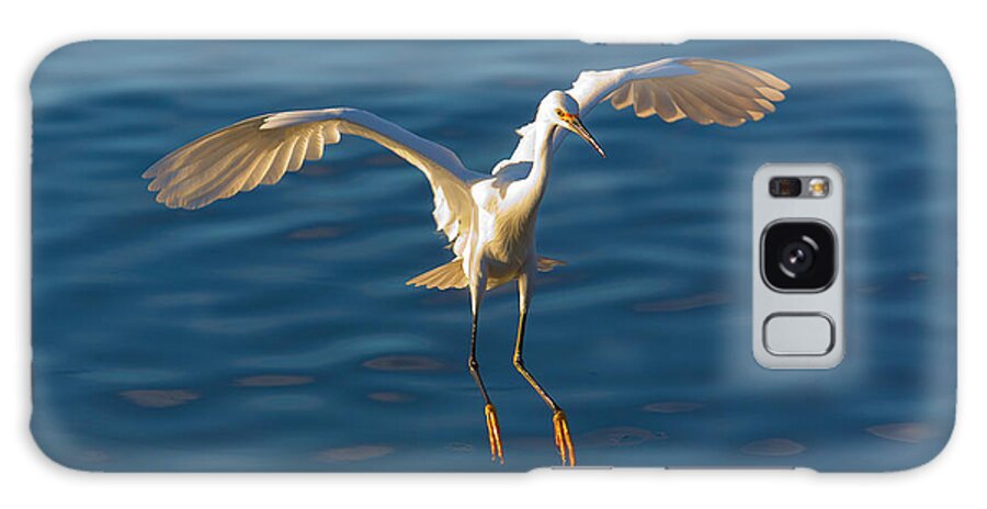Snowy Egret Galaxy S8 Case featuring the photograph Snowy Egret Landing by Brian Knott Photography