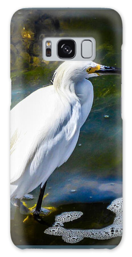 Snowy Egret Galaxy Case featuring the photograph Snowy Egret by Pamela Newcomb