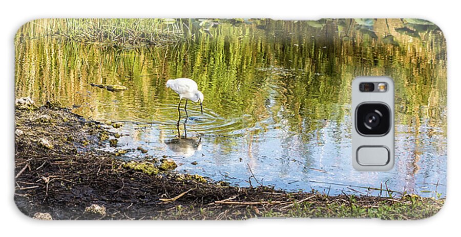 Anhinga Trail Galaxy Case featuring the photograph Snowy Egret Reflections by Louise Lindsay