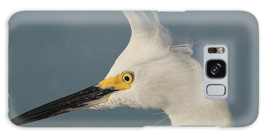  Galaxy S8 Case featuring the photograph Snowy Egret by Sean Allen