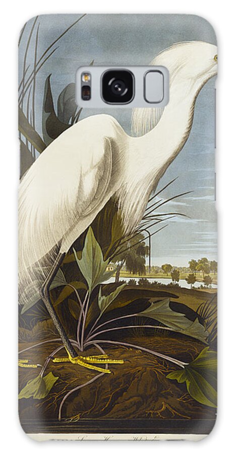 Snowy Heron Or White Egret Galaxy Case featuring the drawing Snowy Heron by John James Audubon