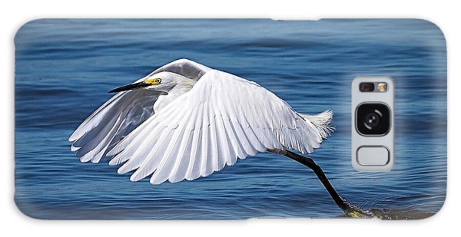 Egret Galaxy Case featuring the photograph Snowy Liftoff by DB Hayes