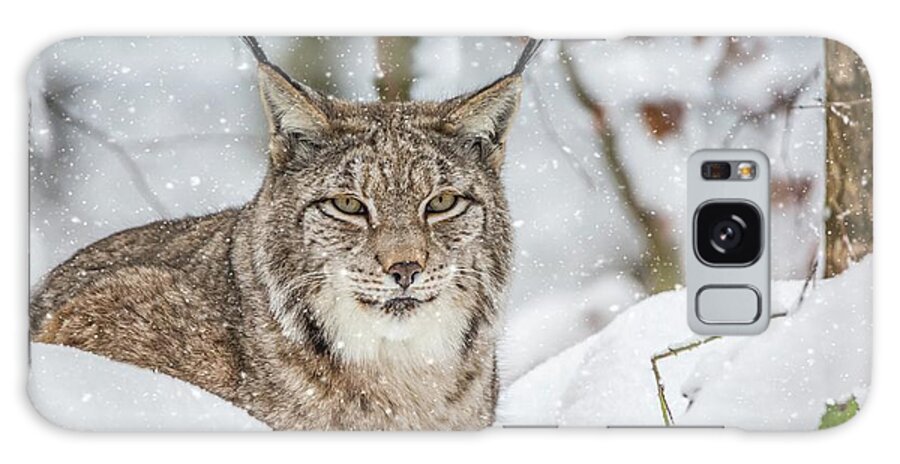 Eurasian Lynx Galaxy Case featuring the photograph Snowy Lynx by Eva Lechner