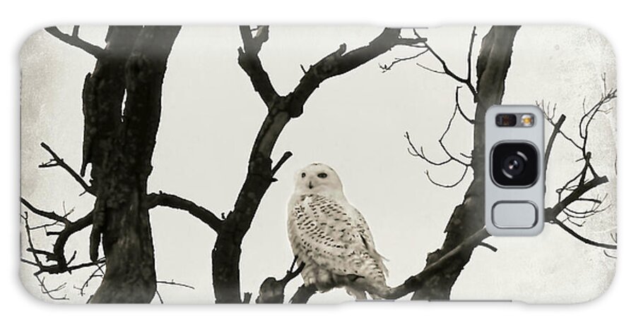 Snowy Owl Galaxy Case featuring the photograph Snowy Owl by Dark Whimsy