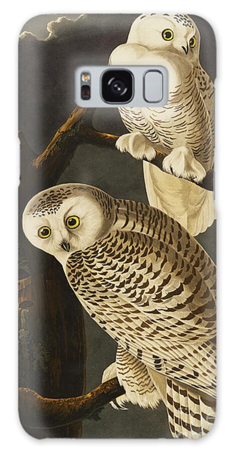 Snowy Owl Galaxy Case featuring the drawing Snowy Owl by John James Audubon