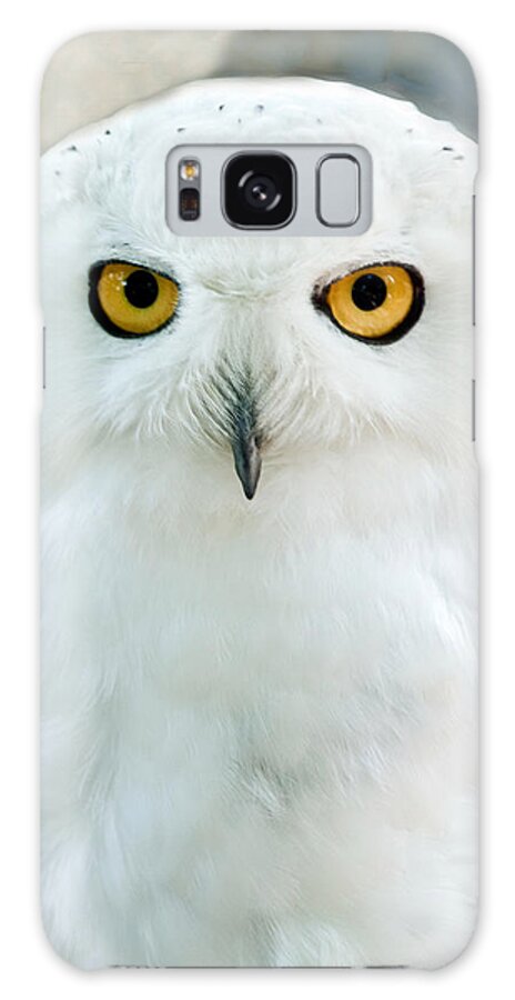 Bird Galaxy S8 Case featuring the photograph Snowy Owl Portrait by William Bitman