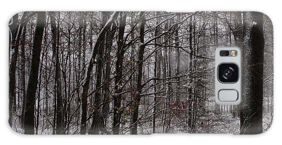 Woods Galaxy Case featuring the photograph Snowy Woods by Linda Shafer