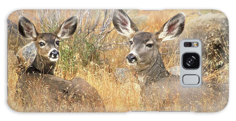 Deer Galaxy Case featuring the photograph So Much For Your Secret Place... by Donna Kennedy