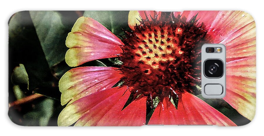 Flora Galaxy Case featuring the photograph Soaking Up the Sun by Todd Blanchard