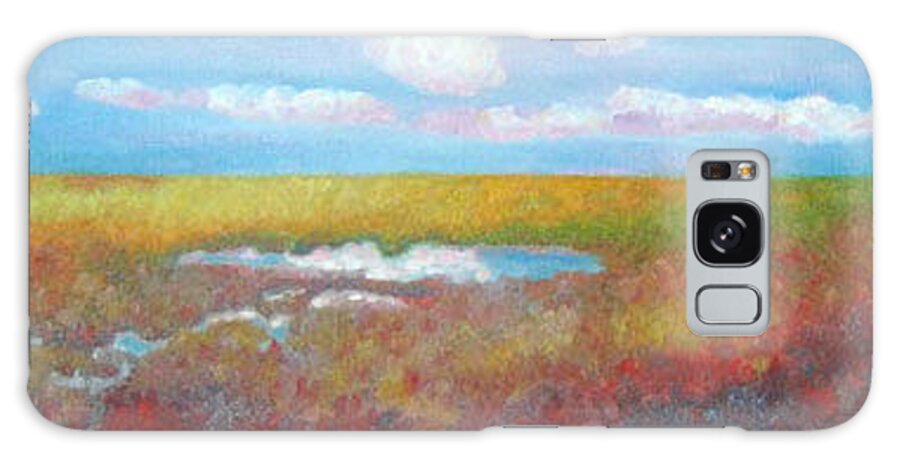 Marsh Galaxy Case featuring the painting Soft Marsh by Blaine Filthaut