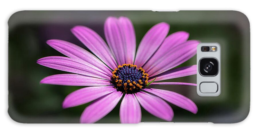 Flower Galaxy Case featuring the photograph Soft Petals by Andrea Silies
