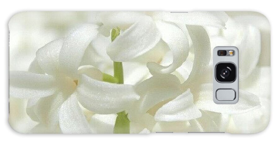 Instaprints White Flower Photo Galaxy Case featuring the photograph Soft White Flowers by James Granberry