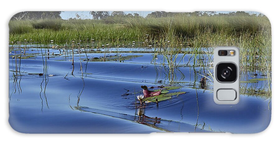 Okavango Delta Galaxy S8 Case featuring the photograph Solitude in the Okavango by Don Mercer