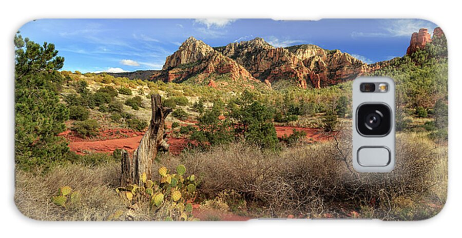 Cactus Galaxy Case featuring the photograph Some Cactus In Sedona by James Eddy