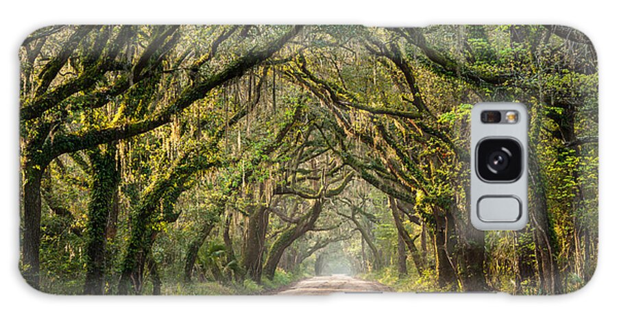 Botany Bay Galaxy Case featuring the photograph Southern Tree-Lined Dirt Road of Dreams by Mark VanDyke