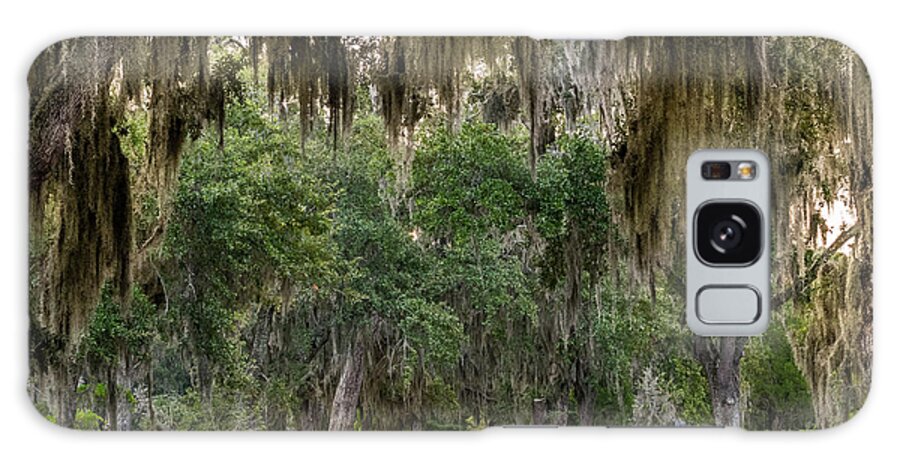 American Galaxy Case featuring the photograph Spanish Moss in Live Oak Trees by Kelly VanDellen