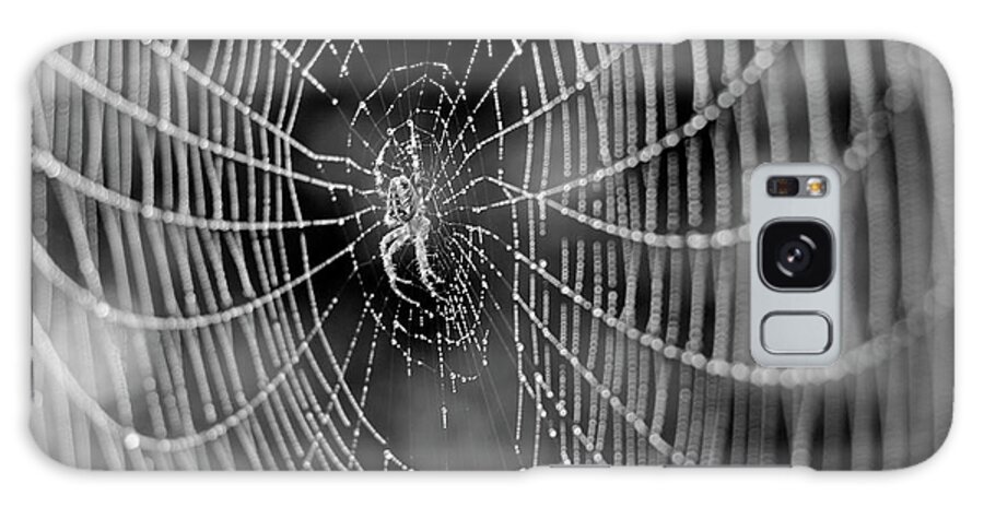 Cross Spider Galaxy Case featuring the photograph Spider in a Dew Covered Web - Black and White by Bruce Block