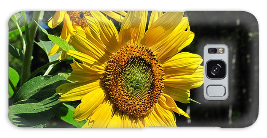 Flower Galaxy Case featuring the photograph Spirals of Sun by Rockybranch Dreams