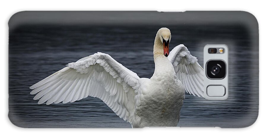 Swan Galaxy Case featuring the photograph Spread Your Wings by Randy Hall