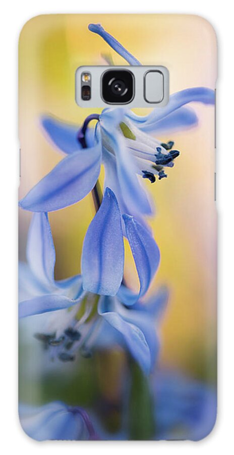 Flower Galaxy Case featuring the photograph Spring Beauty by Kim Carpentier