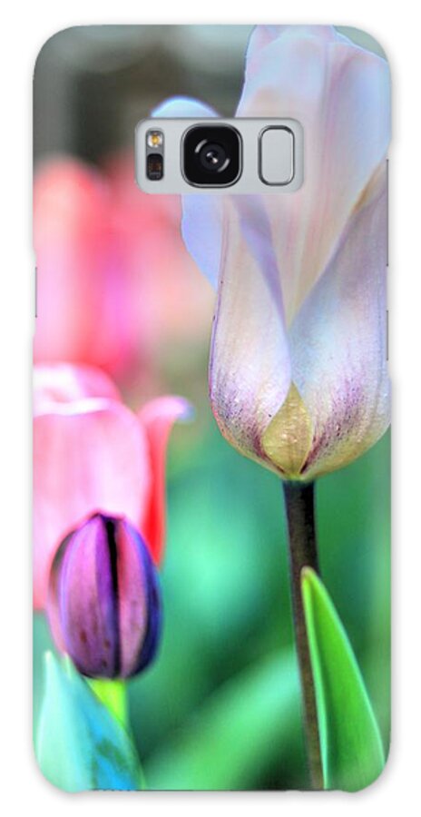 Tulips Galaxy Case featuring the photograph Spring Blooms II by Carol Montoya