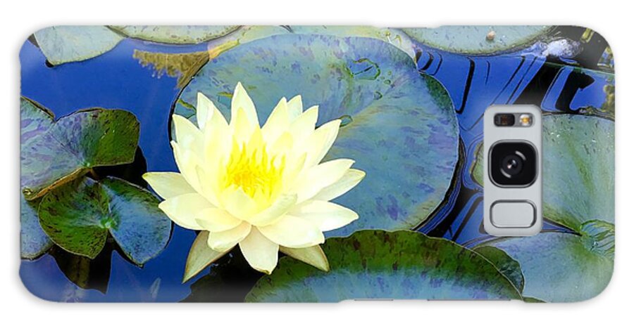 Lily Galaxy Case featuring the photograph Spring Lily by Angela Annas