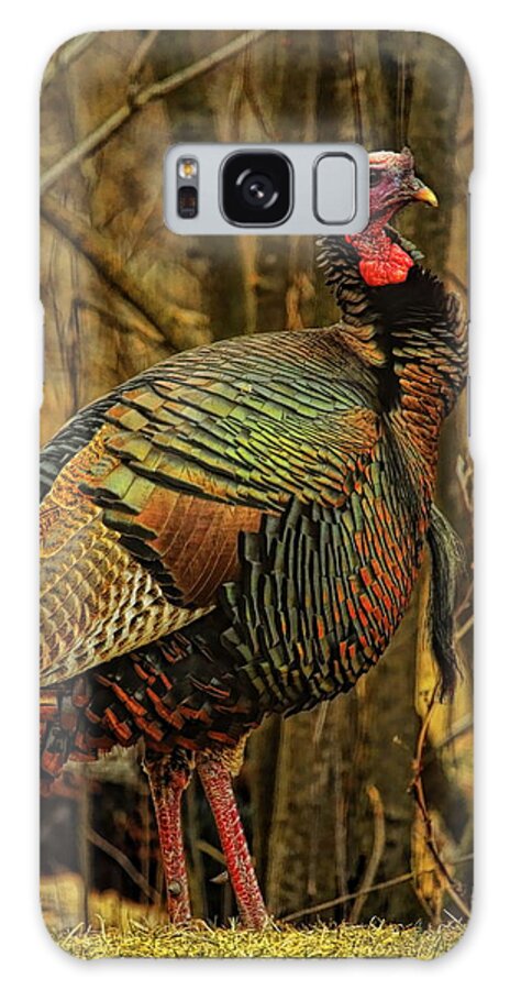 Wild Turkey Galaxy Case featuring the photograph Spring Longbeard by Dale Kauzlaric