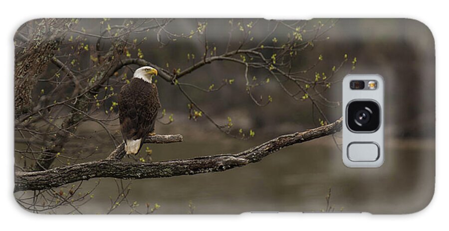 Bird Galaxy Case featuring the photograph Spring on the Potomac by Jody Partin